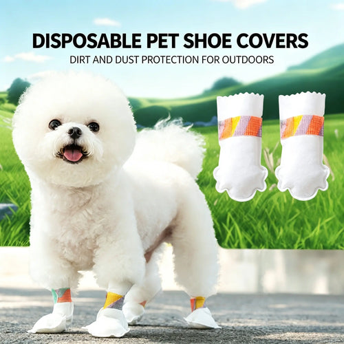 Small white dog wearing disposable paw covers on grass