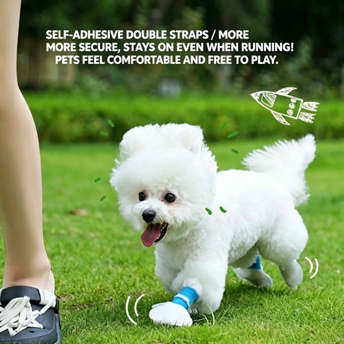Dog running outdoors wearing the self-adhesive paw covers